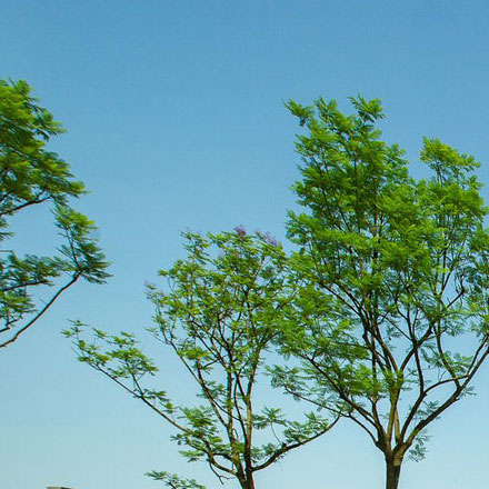 建材vi設(shè)計(jì)作品案例展示