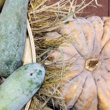 打造 vi設(shè)計公司廣告詞