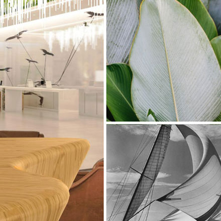 OWELL手表 vi設計公司logo