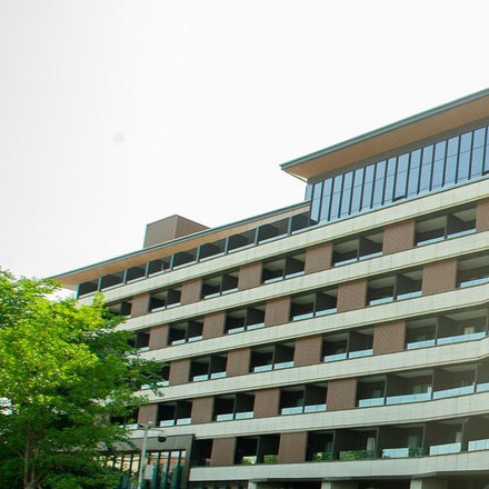 nice vi設計公司濾鏡下載