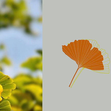 深圳標志設計作品案例展示