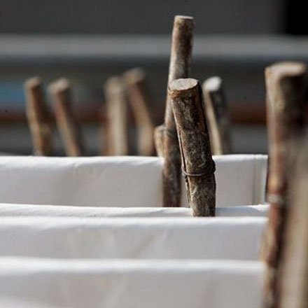 深圳標志設計作品案例展示