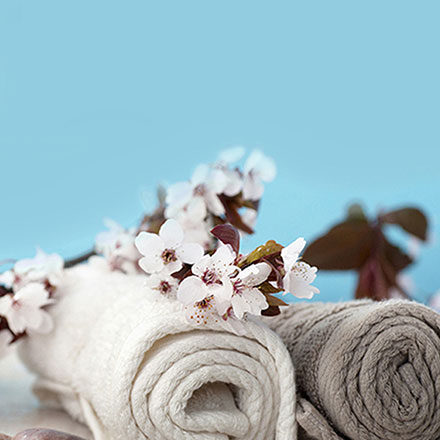 VI公司作品案例展示