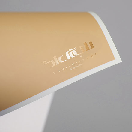 VI公司作品案例展示