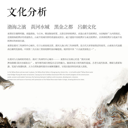 VI公司作品案例展示