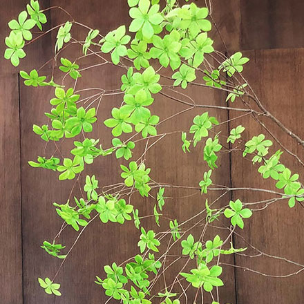 深圳vi設計作品案例展示