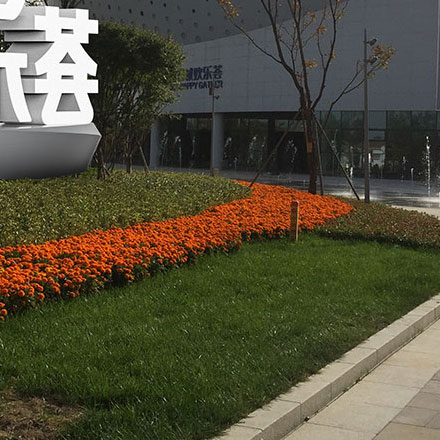 VI公司作品案例展示