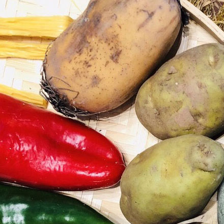 深圳標志設計作品案例展示